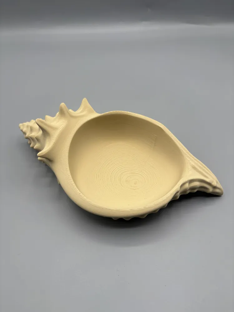Elongated Conch Shell Catchall Bowl — example colour. Includes: One finished item supplied; display accessories are excluded. Approximate dimensions (Width × Depth × Height): 1 supplied: 182.8 × 101.6 × 55.3 mm.