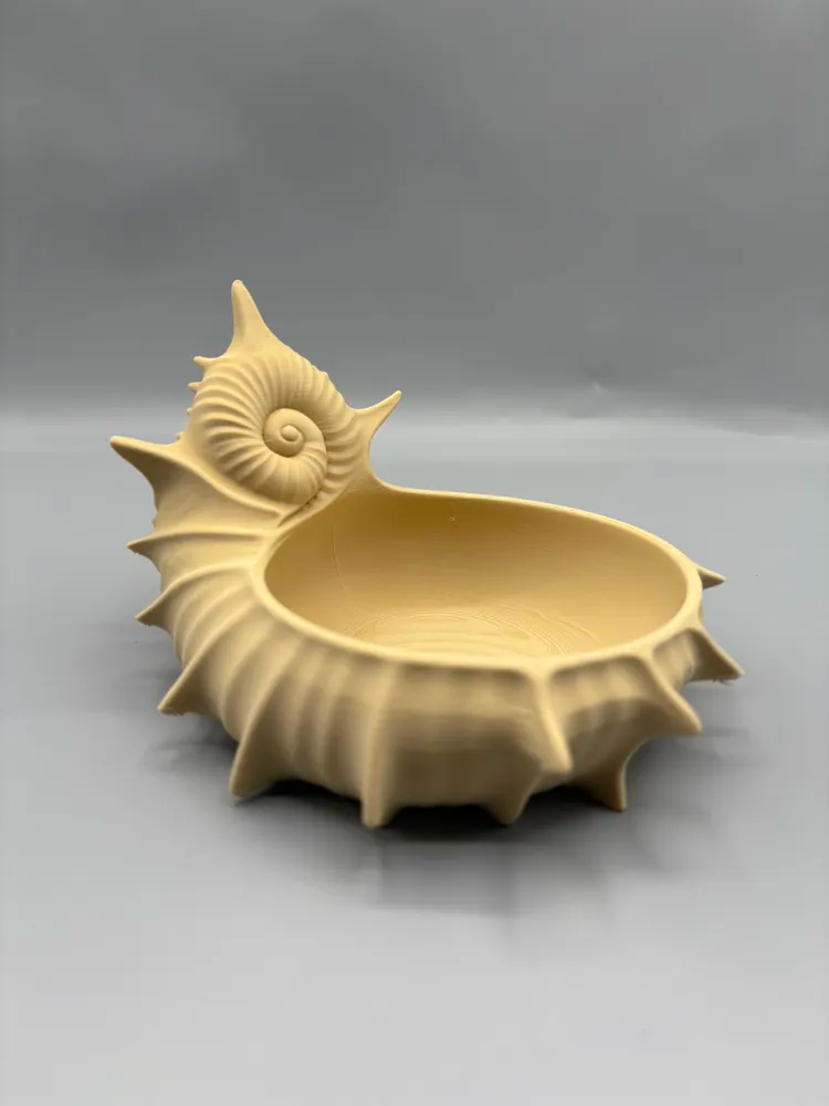 Spiked Spiral Shell Catchall Bowl — example colour. Includes: One finished item supplied; display accessories are excluded. Approximate dimensions (Width × Depth × Height): 1 supplied: 165.1 × 143.4 × 106 mm.