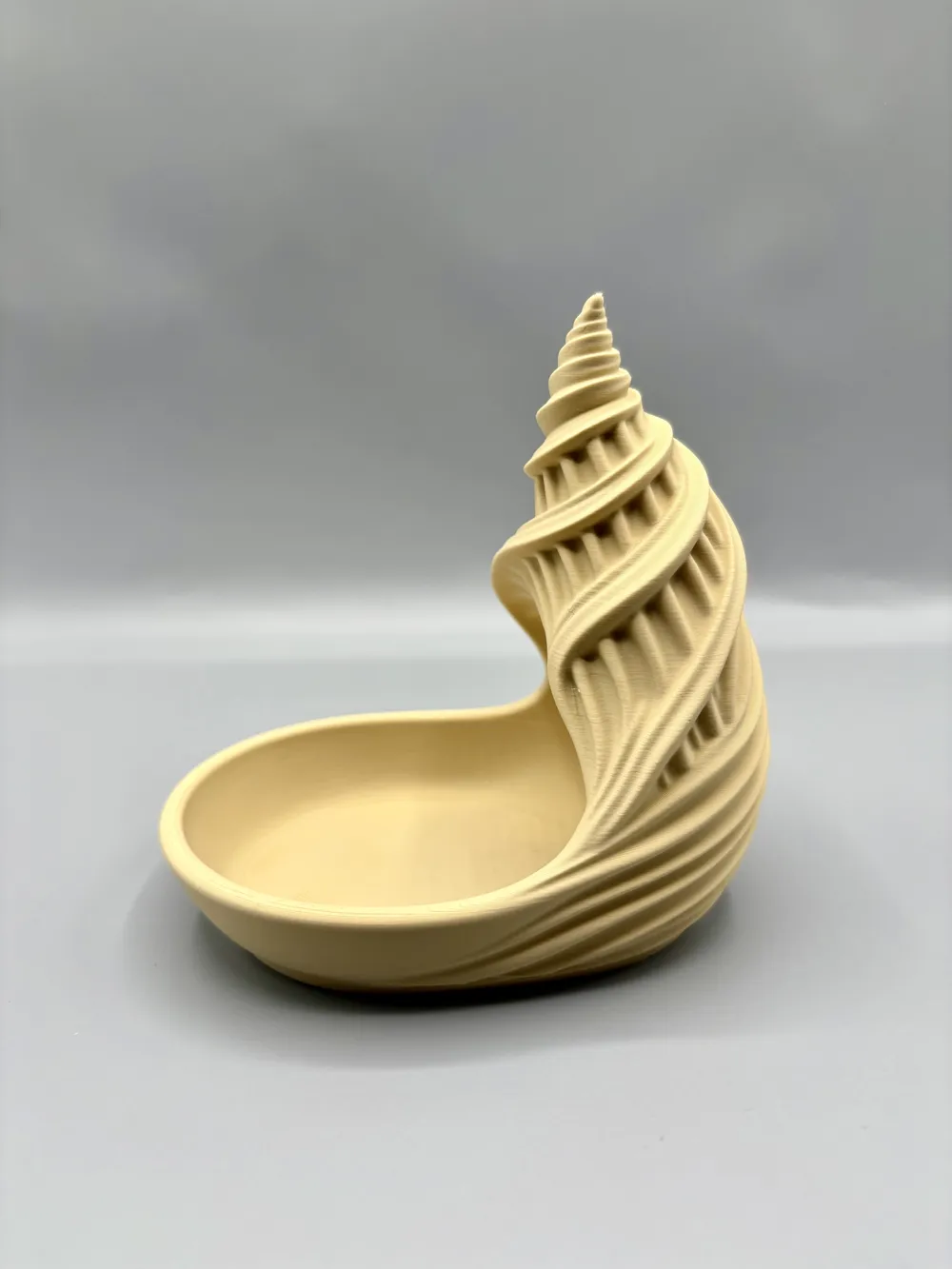 Spiral Seashell Entryway Catchall Tray — example colour. Includes: One finished item supplied; display accessories are excluded. Approximate dimensions (Width × Depth × Height): 1 supplied: 153.8 × 108.8 × 152.4 mm.