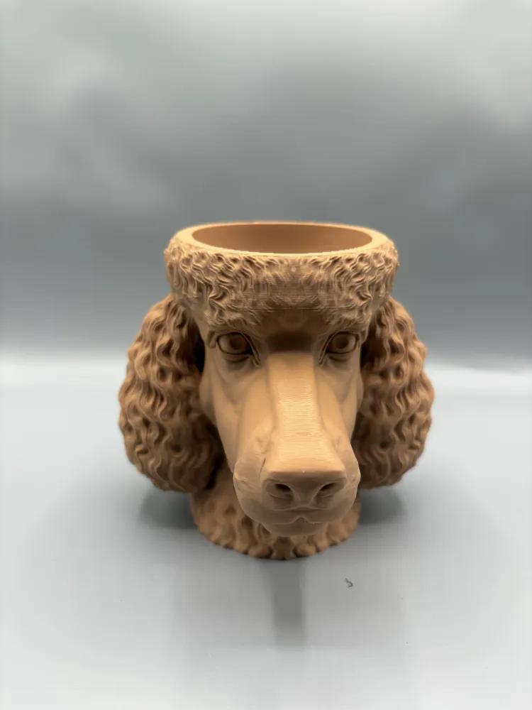 Poodle Head Decorative Catchall Bowl — example colour. Includes: One finished item supplied; display accessories are excluded. Approximate dimensions (Width × Depth × Height): 1 supplied: 148.4 × 129.3 × 127 mm.