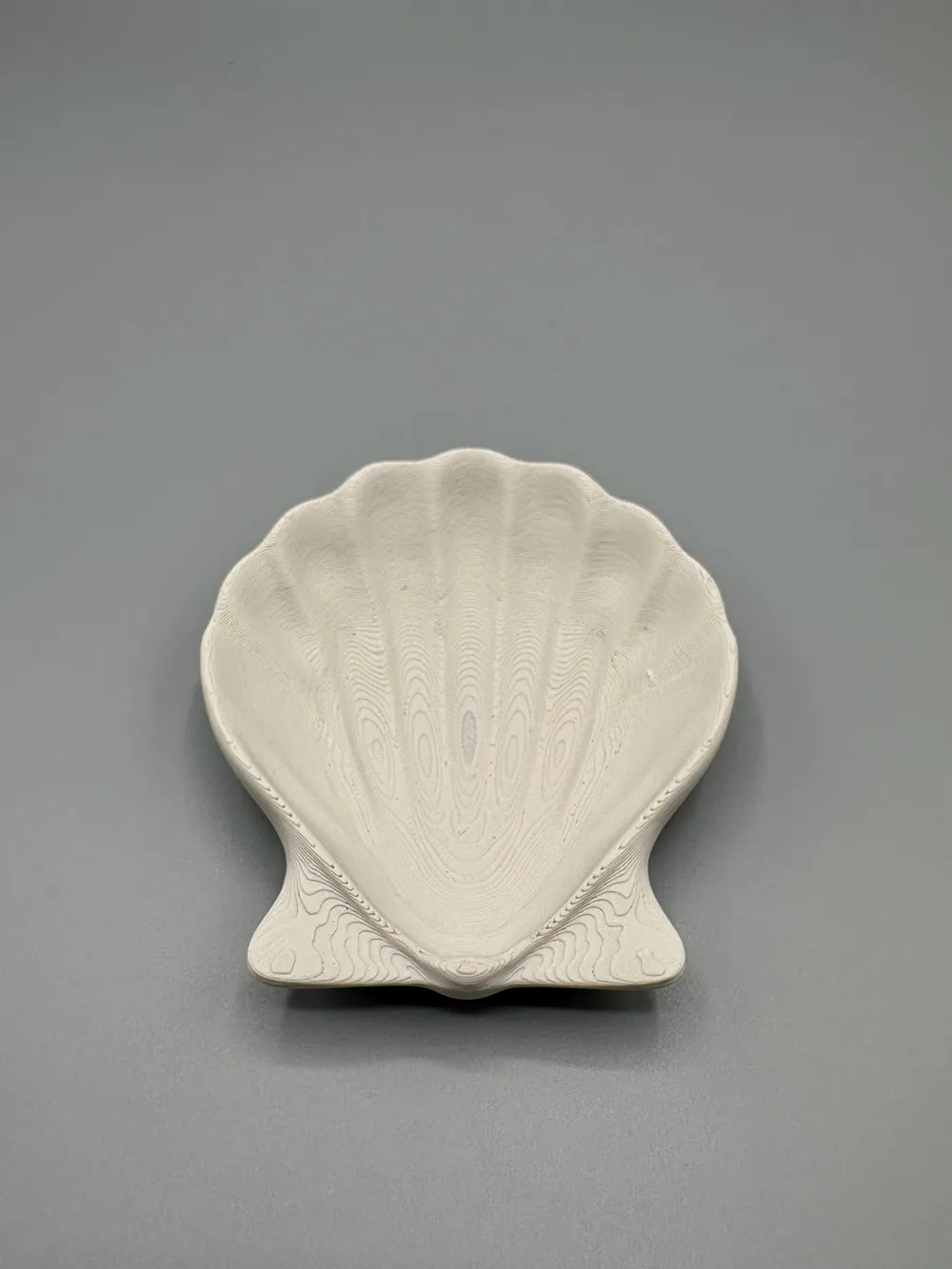 Coastal Seashell Ring & Bracelet Tray — example colour. Includes: One finished item supplied; display accessories are excluded. Approximate dimensions (Width × Depth × Height): 1 supplied: 176.5 × 156.7 × 38.1 mm.