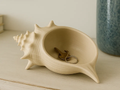 Textured Conch Shell Entryway Bowl — example colour. Includes: One finished item supplied; display accessories are excluded. Approximate dimensions (Width × Depth × Height): 1 supplied: 157.3 × 99.9 × 57.5 mm.
