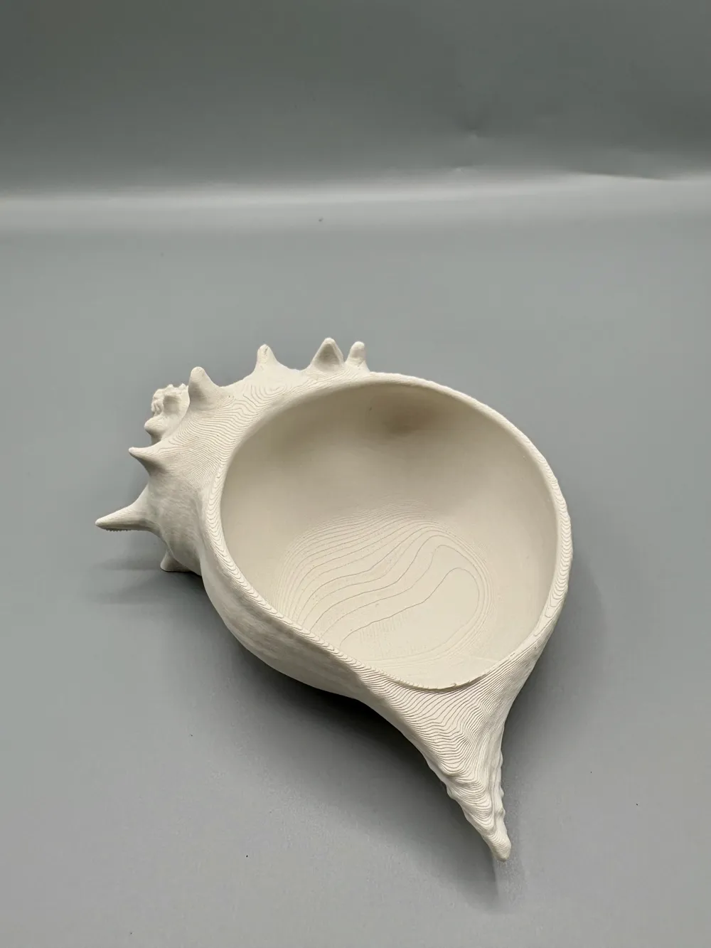 Textured Conch Shell Entryway Bowl — example colour. Includes: One finished item supplied; display accessories are excluded. Approximate dimensions (Width × Depth × Height): 1 supplied: 157.3 × 99.9 × 57.5 mm.
