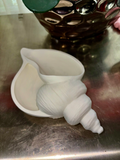 Seashell Entryway Jewellery Catchall — example colour. Includes: One finished item supplied; display accessories are excluded. Approximate dimensions (Width × Depth × Height): 1 supplied: 150.9 × 111.8 × 55.2 mm.