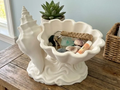 Conch Spire Coastal Catchall Bowl — example colour. Includes: One finished item supplied; display accessories are excluded. Approximate dimensions (Width × Depth × Height): 1 supplied: 188.2 × 146.5 × 143.6 mm.