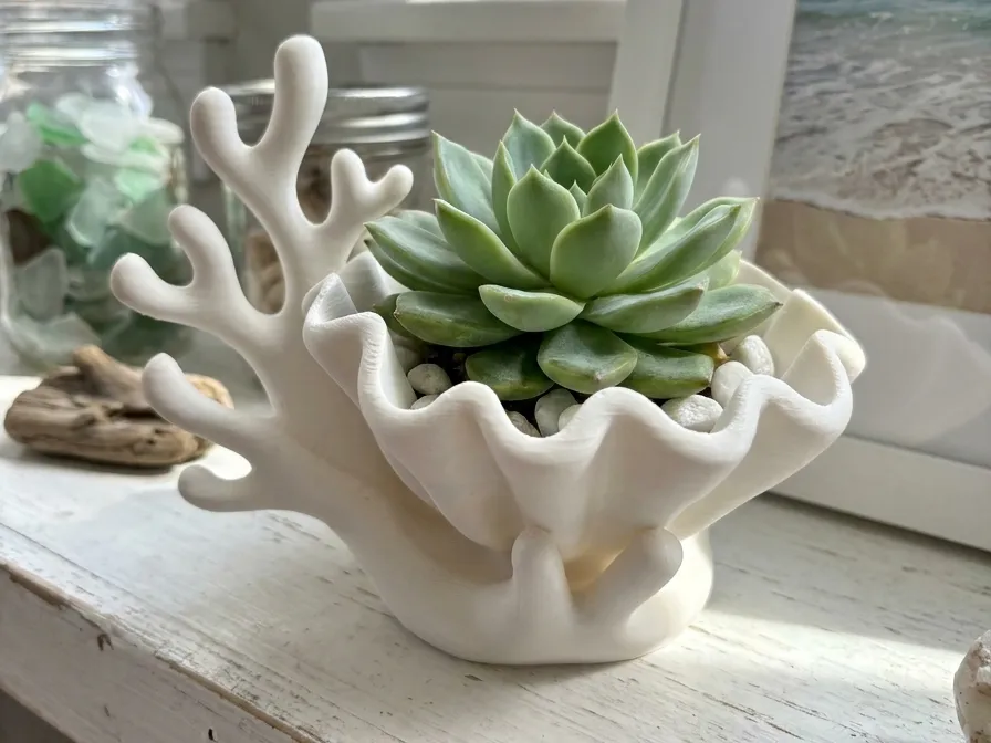 Coral & Clam Shell Decorative Planter — example colour. Includes: One finished item supplied; display accessories are excluded. Approximate dimensions (Width × Depth × Height): 1 supplied: 121.4 × 102.7 × 104.9 mm.