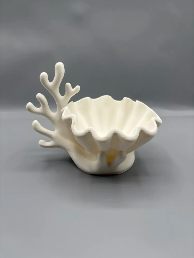 Coral & Clam Shell Decorative Planter — example colour. Includes: One finished item supplied; display accessories are excluded. Approximate dimensions (Width × Depth × Height): 1 supplied: 121.4 × 102.7 × 104.9 mm.
