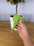 Cactus Plant Watering Globe — example colour. Includes: One complete printed item in the selected configuration. Approximate dimensions (Width × Depth × Height): 1 supplied: 102.4 × 102.2 × 175.4 mm.