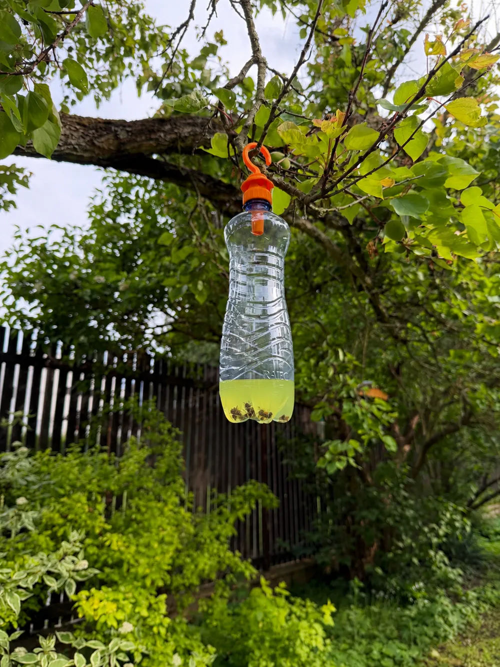 Bottle Wasp Trap — example colour. Includes: one bottle wasp trap. Approximate dimensions (W × D × H): • Bottle trap insert: 36.3 × 36.3 × 66.3 mm. • Hanging hook: 35.5 × 6.6 × 48.6 mm.